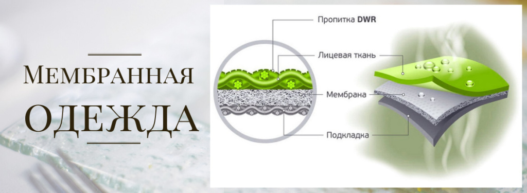 мембрана11.jpg