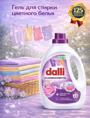 dalli-59_V3